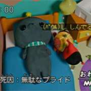 ヒメ日記 2026/04/30 11:37 投稿 ここな ぽっちゃり巨乳素人専門店ぷにめろ八王子店