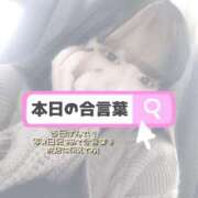 ヒメ日記 2026/05/16 13:32 投稿 ここな ぽっちゃり巨乳素人専門店ぷにめろ八王子店