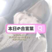 ヒメ日記 2026/06/11 14:01 投稿 ここな ぽっちゃり巨乳素人専門店ぷにめろ八王子店