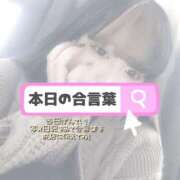 ヒメ日記 2026/06/23 14:01 投稿 ここな ぽっちゃり巨乳素人専門店ぷにめろ八王子店