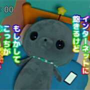 ヒメ日記 2026/06/24 01:00 投稿 ここな ぽっちゃり巨乳素人専門店ぷにめろ八王子店