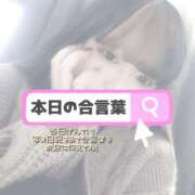 ヒメ日記 2026/08/09 18:16 投稿 ここな ぽっちゃり巨乳素人専門店ぷにめろ八王子店