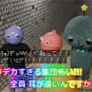 ヒメ日記 2026/08/15 01:15 投稿 ここな ぽっちゃり巨乳素人専門店ぷにめろ八王子店