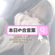 ヒメ日記 2026/08/19 17:03 投稿 ここな ぽっちゃり巨乳素人専門店ぷにめろ八王子店