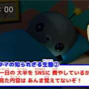 ヒメ日記 2026/08/28 11:08 投稿 ここな ぽっちゃり巨乳素人専門店ぷにめろ八王子店