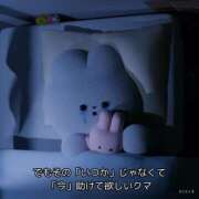 ヒメ日記 2026/09/04 01:00 投稿 ここな ぽっちゃり巨乳素人専門店ぷにめろ八王子店