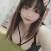ヒメ日記 2026/10/04 13:00 投稿 ここな ぽっちゃり巨乳素人専門店ぷにめろ八王子店