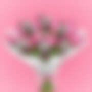 ヒメ日記 2025/12/10 22:00 投稿 しの ぽっちゃり巨乳素人専門店ぷにめろ八王子店