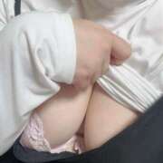 ヒメ日記 2026/01/31 08:59 投稿 しの ぽっちゃり巨乳素人専門店ぷにめろ八王子店