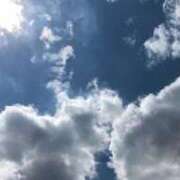 ヒメ日記 2026/02/01 12:02 投稿 しの ぽっちゃり巨乳素人専門店ぷにめろ八王子店