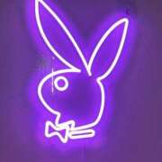 ヒメ日記 2026/02/24 01:16 投稿 しの ぽっちゃり巨乳素人専門店ぷにめろ八王子店