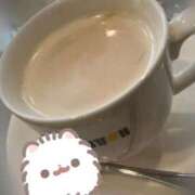 ヒメ日記 2026/03/23 16:43 投稿 しの ぽっちゃり巨乳素人専門店ぷにめろ八王子店