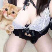 ヒメ日記 2026/03/29 11:07 投稿 しの ぽっちゃり巨乳素人専門店ぷにめろ八王子店