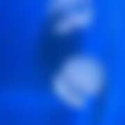 ヒメ日記 2026/04/02 01:20 投稿 しの ぽっちゃり巨乳素人専門店ぷにめろ八王子店