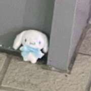 ヒメ日記 2026/04/02 21:03 投稿 しの ぽっちゃり巨乳素人専門店ぷにめろ八王子店