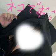 ヒメ日記 2026/04/03 07:45 投稿 しの ぽっちゃり巨乳素人専門店ぷにめろ八王子店