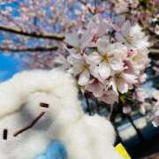 ヒメ日記 2026/04/03 11:00 投稿 しの ぽっちゃり巨乳素人専門店ぷにめろ八王子店