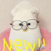 ヒメ日記 2026/04/04 08:00 投稿 しの ぽっちゃり巨乳素人専門店ぷにめろ八王子店