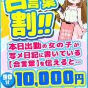 ヒメ日記 2026/04/06 12:22 投稿 しの ぽっちゃり巨乳素人専門店ぷにめろ八王子店