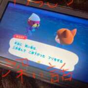 しの 納得だね ぽっちゃり巨乳素人専門店ぷにめろ八王子店