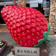 ヒメ日記 2026/06/19 11:41 投稿 しの ぽっちゃり巨乳素人専門店ぷにめろ八王子店