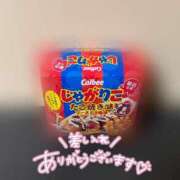 ヒメ日記 2026/10/14 15:02 投稿 しの ぽっちゃり巨乳素人専門店ぷにめろ八王子店