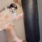 ヒメ日記 2025/11/05 14:35 投稿 きらら ぽっちゃり巨乳素人専門店ぷにめろ八王子店