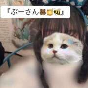 ヒメ日記 2026/01/12 16:57 投稿 きらら ぽっちゃり巨乳素人専門店ぷにめろ八王子店