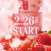 ヒメ日記 2026/02/16 17:19 投稿 きらら ぽっちゃり巨乳素人専門店ぷにめろ八王子店