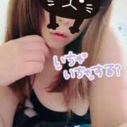 ヒメ日記 2025/11/11 12:14 投稿 ゆみ ぽっちゃり巨乳素人専門店ぷにめろ八王子店