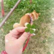 ヒメ日記 2026/04/10 17:52 投稿 みるく ぽっちゃり巨乳素人専門店ぷにめろ八王子店