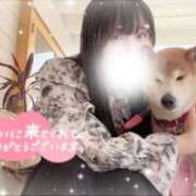 みるく ありがとう🍼 ぽっちゃり巨乳素人専門店ぷにめろ八王子店