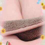 ヒメ日記 2026/08/11 10:54 投稿 みさき ぽっちゃり巨乳素人専門店ぷにめろ八王子店