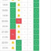 ヒメ日記 2025/12/05 09:12 投稿 あずさ　魅惑のGカップ美女 ROYAL FACE