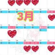 ヒメ日記 2026/02/21 12:32 投稿 逢沢かれん　頂に立つ圧倒的美女 ROYAL FACE