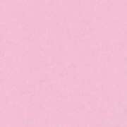 ヒメ日記 2025/12/01 10:32 投稿 みらん　圧倒的に輝く超逸材美女 ROYAL FACE