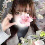 ヒメ日記 2026/02/07 18:22 投稿 みらん　圧倒的に輝く超逸材美女 ROYAL FACE