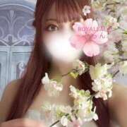 ヒメ日記 2026/04/01 17:12 投稿 みらん　圧倒的に輝く超逸材美女 ROYAL FACE