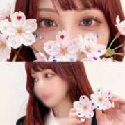 ヒメ日記 2026/04/12 09:12 投稿 みらん　圧倒的に輝く超逸材美女 ROYAL FACE