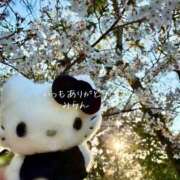 ヒメ日記 2026/04/12 09:42 投稿 みらん　圧倒的に輝く超逸材美女 ROYAL FACE