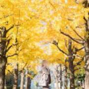 ヒメ日記 2025/11/25 14:52 投稿 なな　透明感抜群の清楚美女 ROYAL FACE