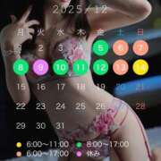 ヒメ日記 2025/11/26 15:22 投稿 なな　透明感抜群の清楚美女 ROYAL FACE