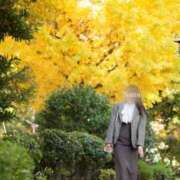 ヒメ日記 2025/11/30 08:32 投稿 なな　透明感抜群の清楚美女 ROYAL FACE