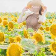 ヒメ日記 2026/06/05 09:32 投稿 なな　透明感抜群の清楚美女 ROYAL FACE