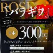 ヒメ日記 2026/07/20 08:32 投稿 なな　透明感抜群の清楚美女 ROYAL FACE