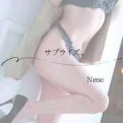 ヒメ日記 2025/12/02 12:22 投稿 ねね　洗練された可憐な美貌 ROYAL FACE