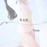 ヒメ日記 2025/12/04 10:22 投稿 ねね　洗練された可憐な美貌 ROYAL FACE