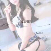 ヒメ日記 2025/12/19 09:35 投稿 ねね　洗練された可憐な美貌 ROYAL FACE