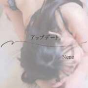 ヒメ日記 2025/12/29 06:42 投稿 ねね　洗練された可憐な美貌 ROYAL FACE