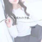 ヒメ日記 2026/01/11 10:02 投稿 ねね　洗練された可憐な美貌 ROYAL FACE